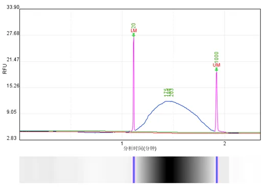 高通量聲波基因組剪切儀DNA片段化結果圖案例1